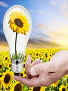 思源電氣首次覆蓋深度報告：民營電網設備龍頭，業績多年穩定增長